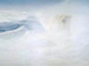 robert bateman white encounter polar bear