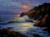 william deshazo sunset cove