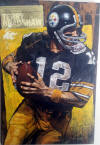 stephen holland original painting oil on board terry bradshaw