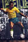 stephen holland pele