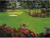 mark king golf series I augusta landscape