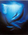 Wyland Art of Saving Whales