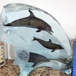 wyland dolphin wonder